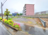  土地