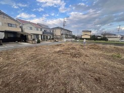北足立郡伊奈町大字小針新宿